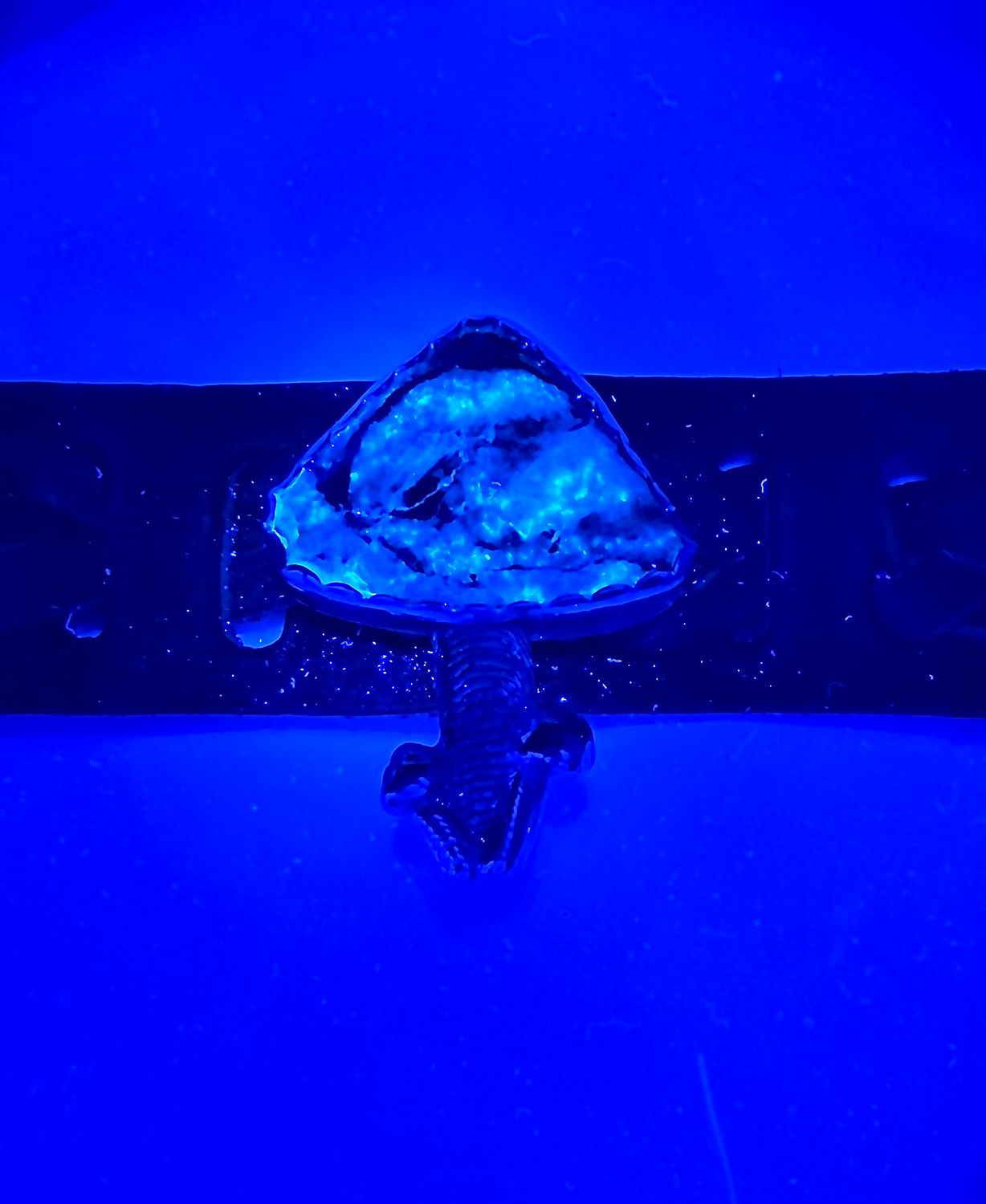 Columbia 23 cuttlefish bone cast/fabricated, 99.9 silver mushroom (with galaxy effect)