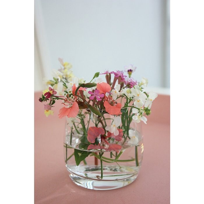 Grow your Fortune Cookie