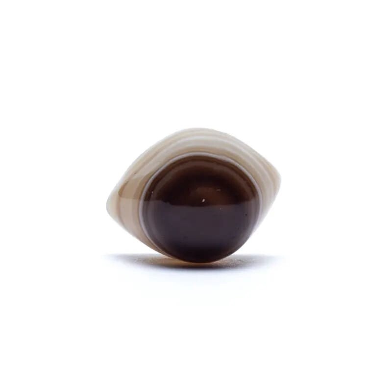 Shiva oog