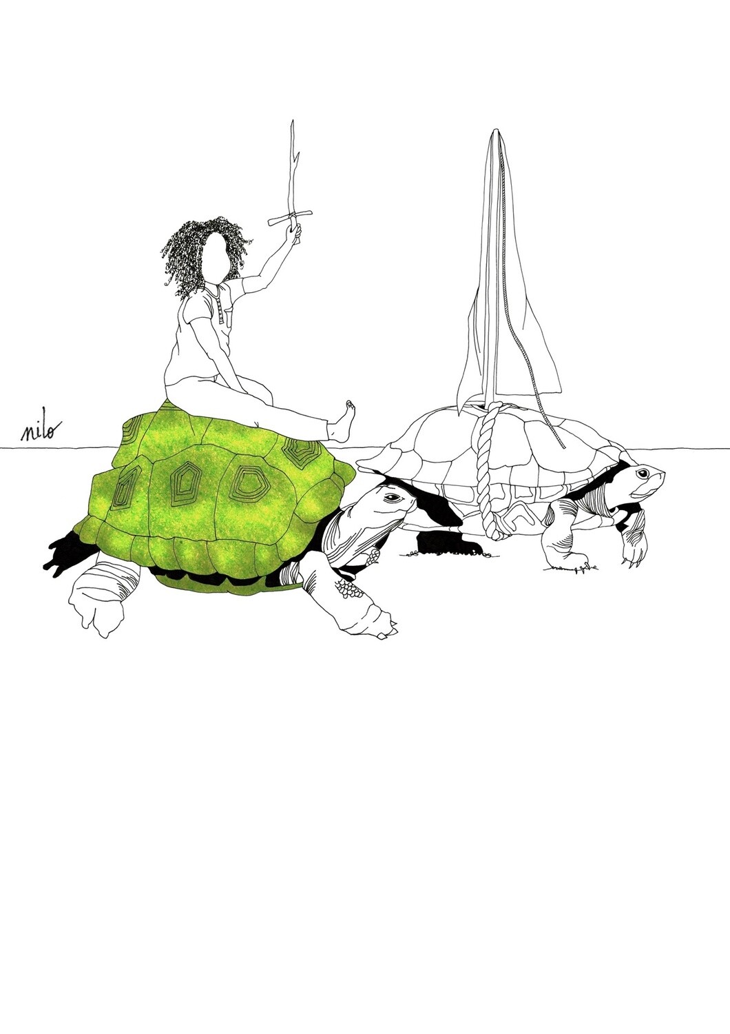 Schildpadden