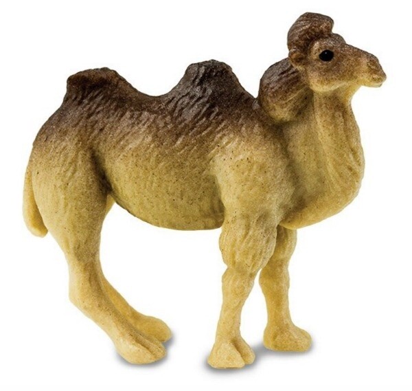 Mini kameel