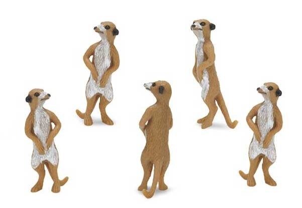 Mini stokstaartje