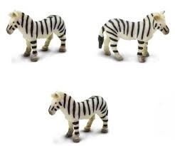 Mini zebra