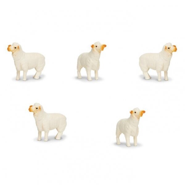 Mini schaap