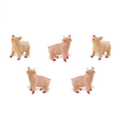 Mini varken