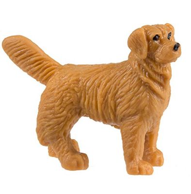 Mini golden retreiver