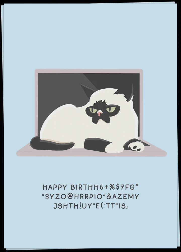 Cat laptop