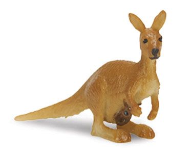 Mini kangoeroe