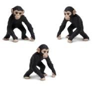 Mini Chimpansee