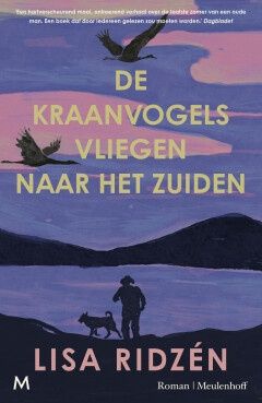 De kraanvogels vliegen naar het zuiden