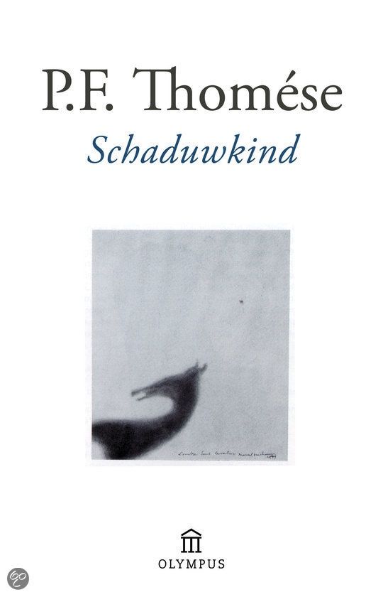 Schaduwkind