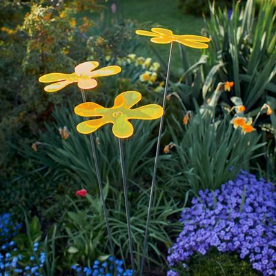 Zonnevanger Lotta Geel