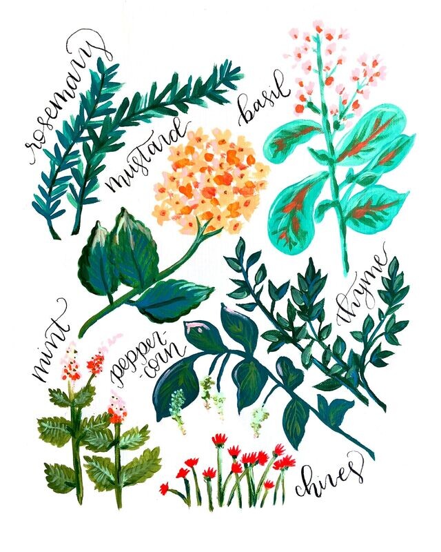Spices