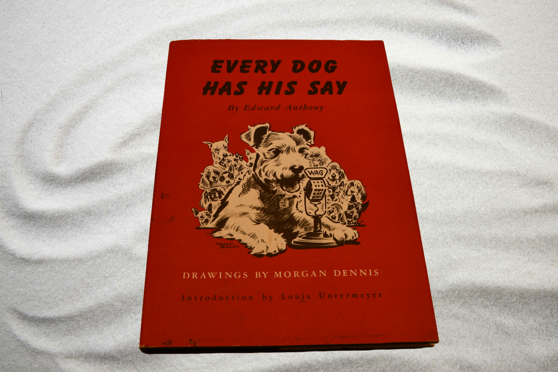 Every Dog Has His Say