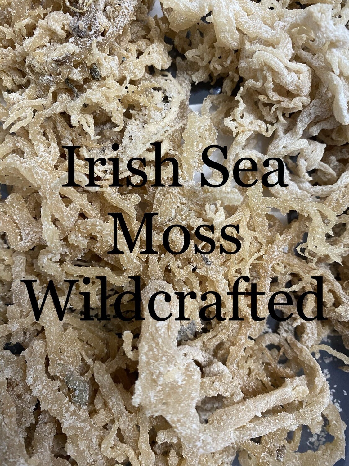 Gold Sea Moss(Irish) 