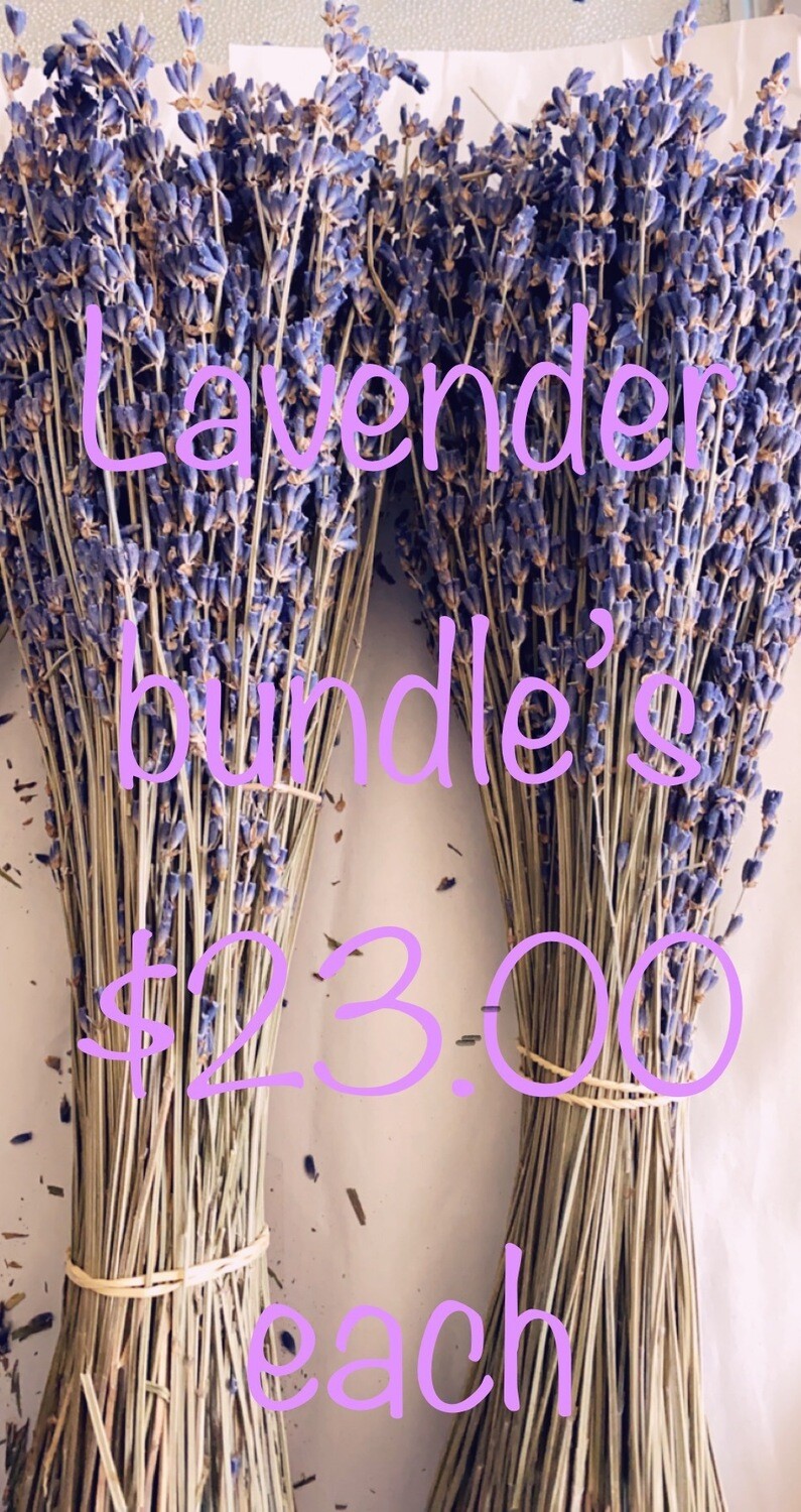 Lavender Bundle