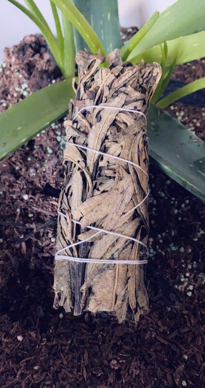 Yerba Santa