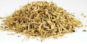 Dog Grass