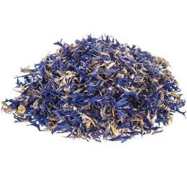 Blue cornflower