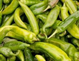 Anaheim / CA Chilli Pepper