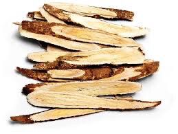 Astragalus
