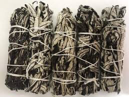 Black mugwort sage