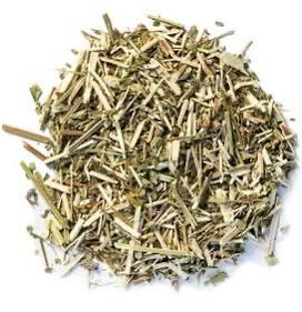 Blue vervain