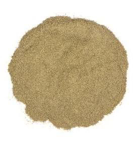 Brahmi