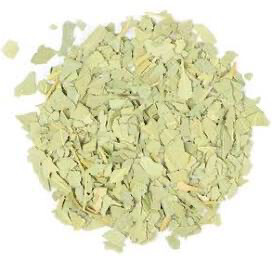 Eucalyptus