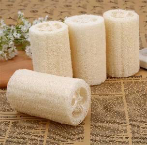 Loofah sponges