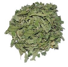 Yemeni Sidr