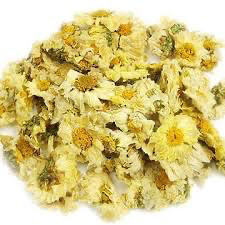 Hangchow Chrysathemum