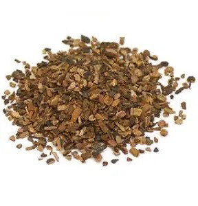 Sarsaparilla