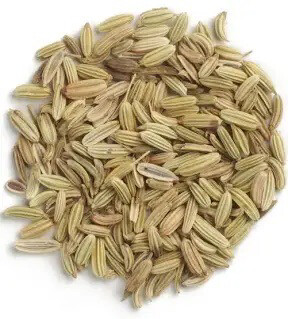 Fennel