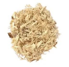 Slippery Elm