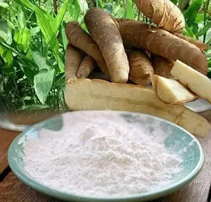 Arrowroot