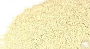 Safed Musli