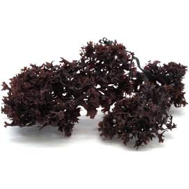 Sea Moss (Chondrus Crispus)