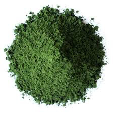 Chlorella