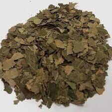Birch