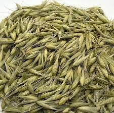 Oats Tops