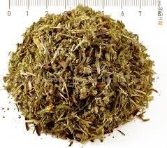Mountain Ash