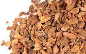 Sassafras