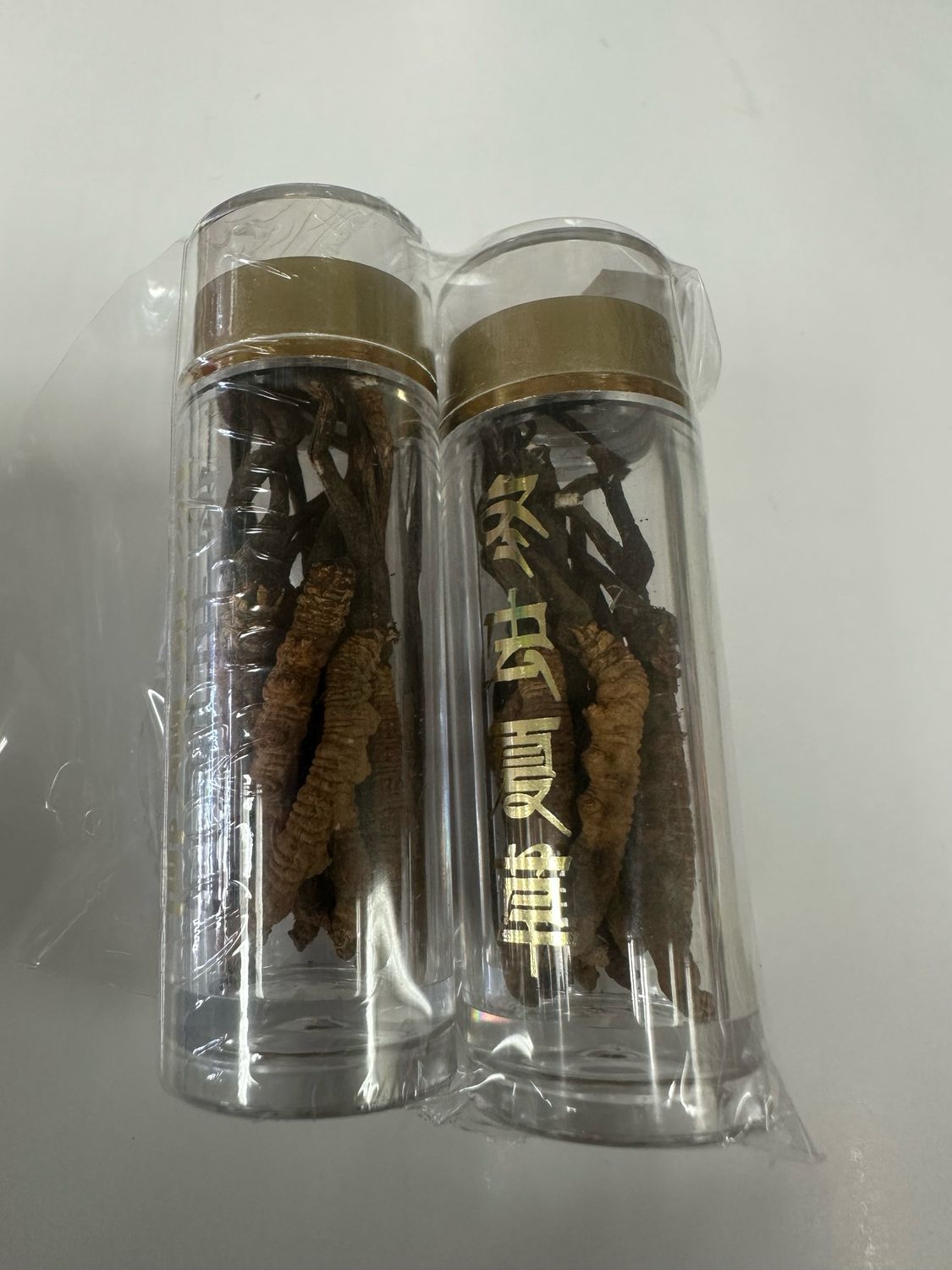 Cordyceps sinensis