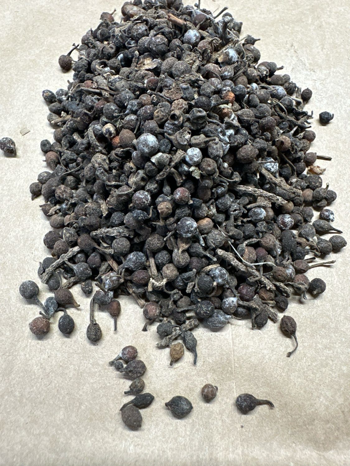 Pizza Seeds