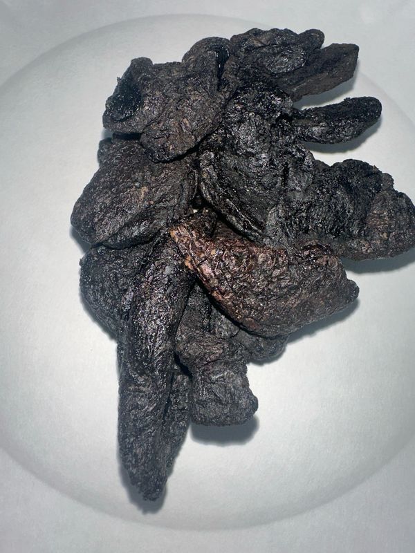 Radix Rehmanniae