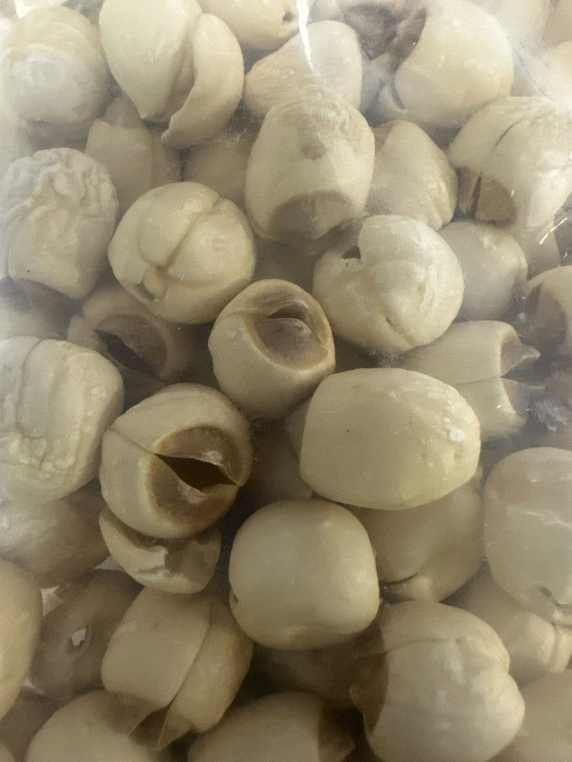 Lotus Seeds dried