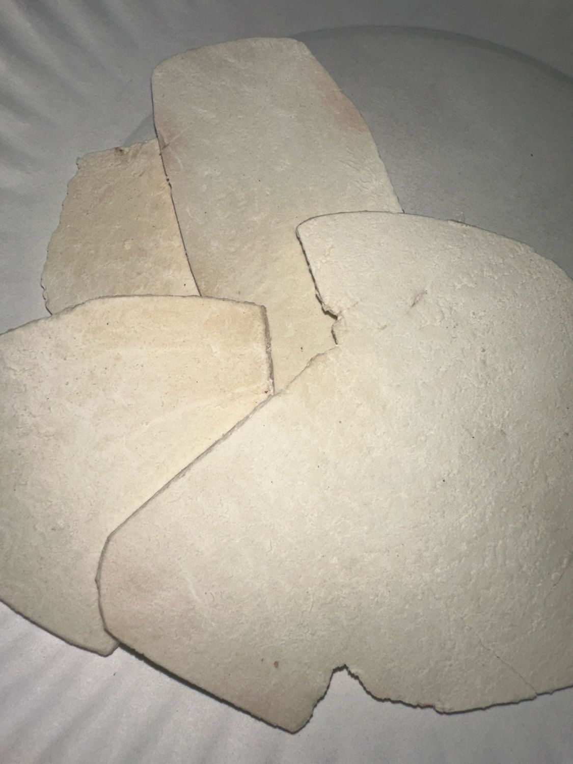 Poria Cocos