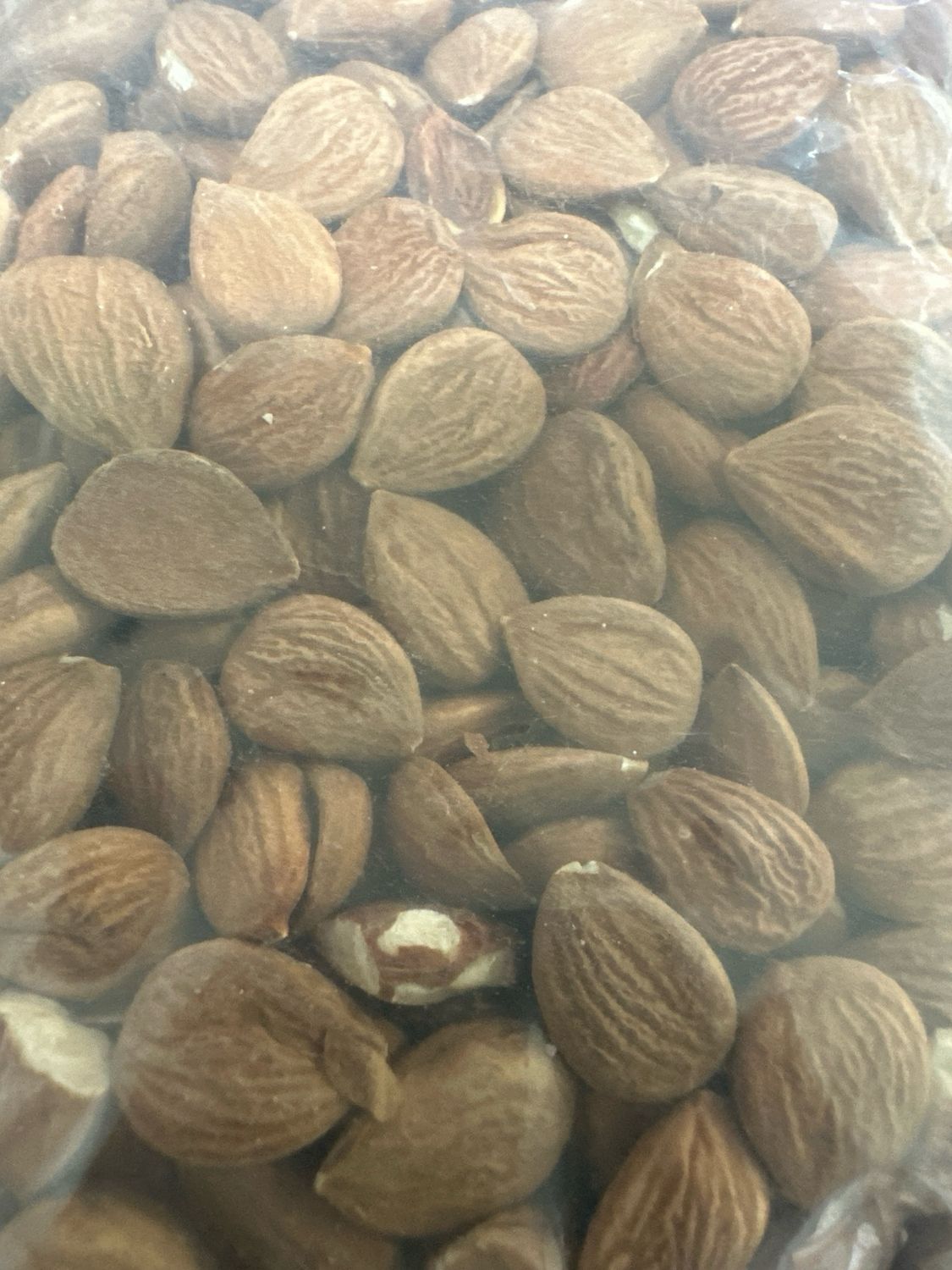 Apricot Seeds