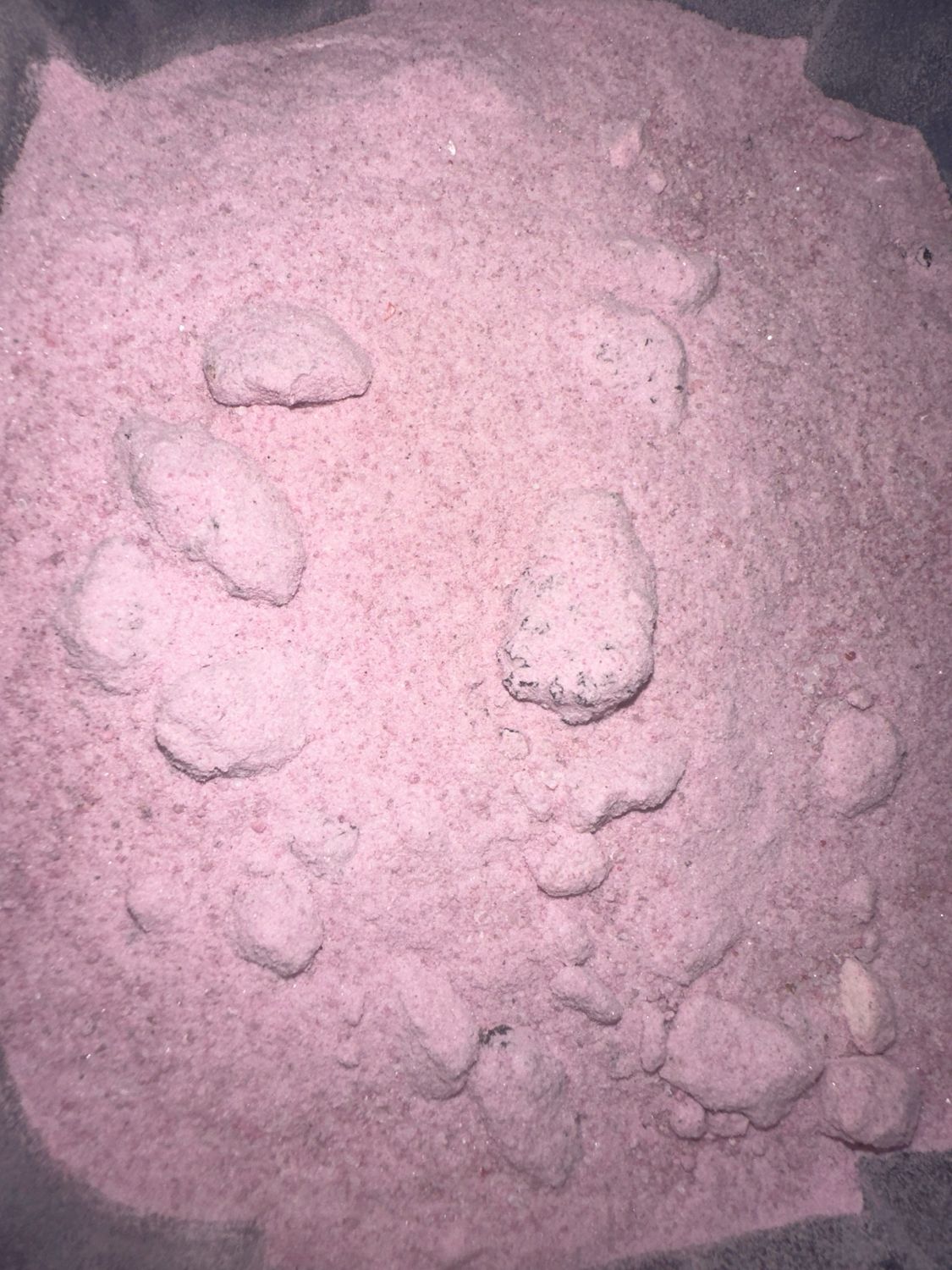 Mulberry Tea Powder With Dried Mulberries